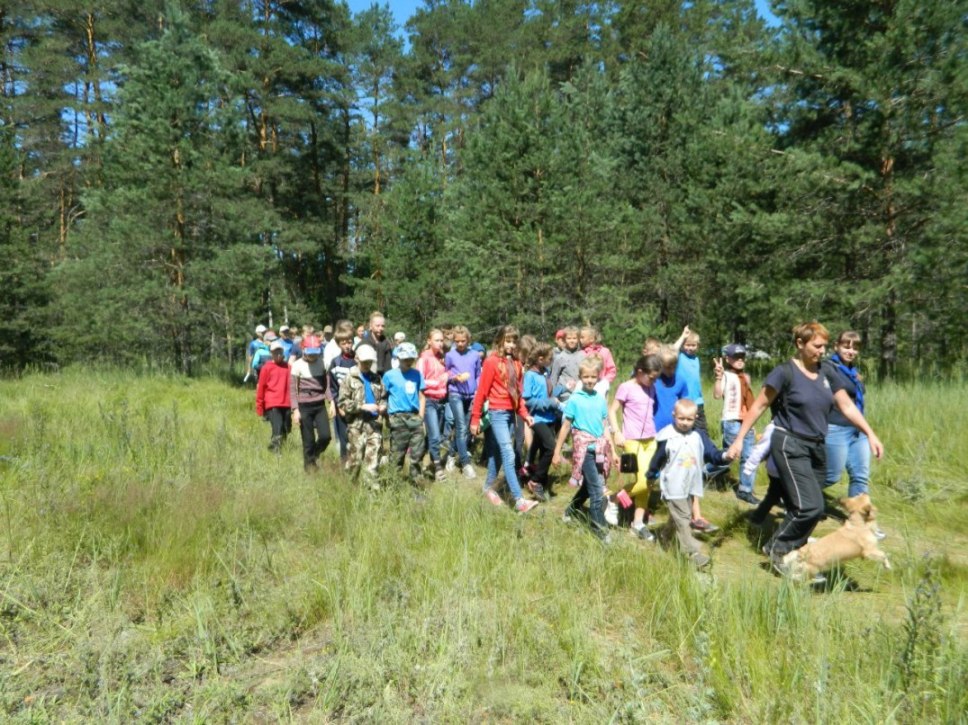 Летняя кампания-2015. Организация Российский юных разведчиков (скаутов). Лагерь "Тропой следопыта"